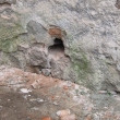 URVAN ODPED PED RENOVAC