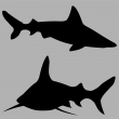 VODN� SV�T